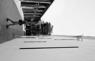 Photographer's Perspective  Photographer's Perspective