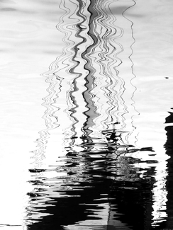 The Sailboat The Sailboat