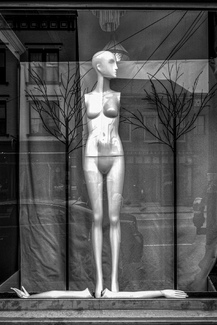 Lay Down Your Arms Lay Down Your Arms