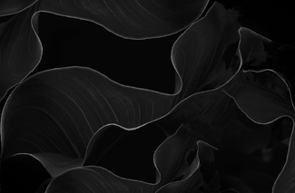 Between the Lines Between the Lines