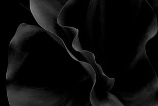 The Lovers The Lovers