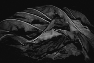 Withered Spirit Withered Spirit