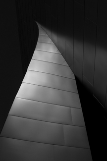Skyward Skyward