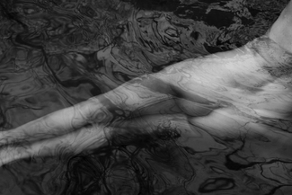 Fluidity of Form Fluidity of Form