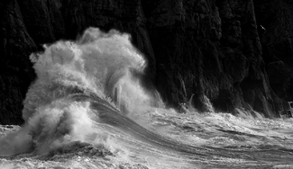 The Wave and the Gull The Wave and the Gull