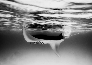 Touch The Sky Touch The Sky