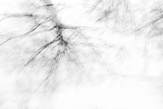 Novemberblues Novemberblues