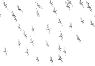 Together everywhere Together everywhere