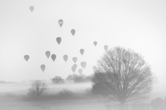 Balloon race in the fog
