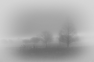 Wandering fog Wandering fog