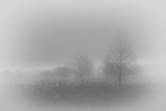 Wandering fog