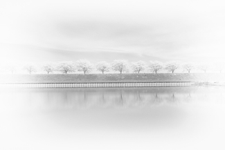 Spring in Japan Spring in Japan