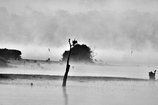 Kabini's Mystic Backwater Kabini's Mystic Backwater