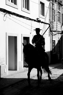 Horses in town Horses in town
