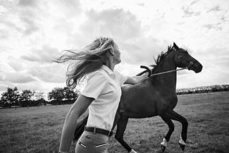 cavaletti 2 cavaletti 2