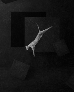 No problem No problem