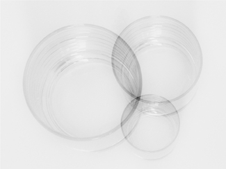 glasslight 2 glasslight 2