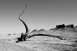 Dance on an Alien Landscape Dance on an Alien Landscape