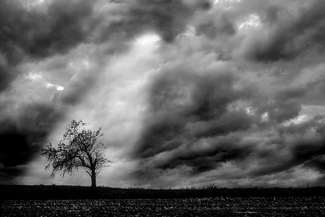 Light in the dark Light in the dark