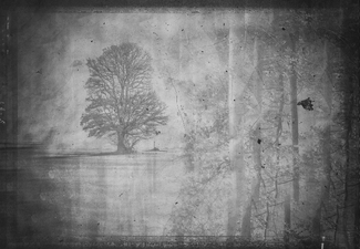 Double exposure winter spring Double exposure winter spring