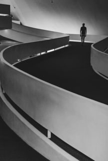 Niemeyer Mystery