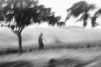 Her Mind on Her Way to School Her Mind on Her Way to School