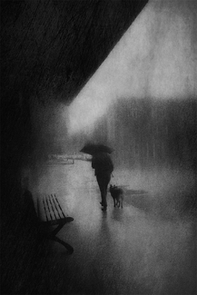 Old friends Old friends