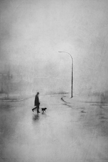 Walking Brutus Walking Brutus