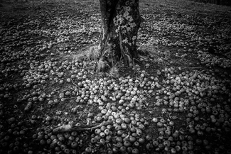 Coming to an End Coming to an End