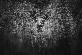 Seeing you seeing me Seeing you seeing me