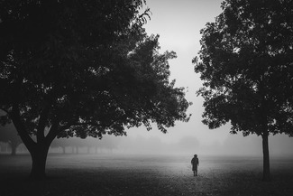 Foggy Morning Foggy Morning