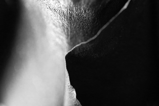 Black Vendela 09 Black Vendela 09