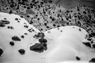 Dunes at Lake Mungo
