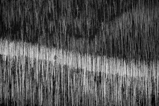 Mountain Ash Mountain Ash