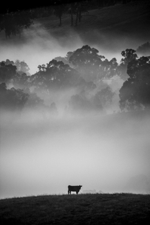 High on a Hill High on a Hill