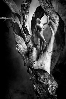 Climbing The Tree Of Life Climbing The Tree Of Life