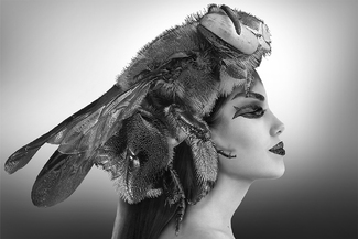 Bee Extravaganza II Bee Extravaganza II