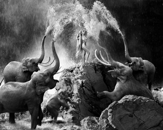 Fountain Of Life Fountain Of Life