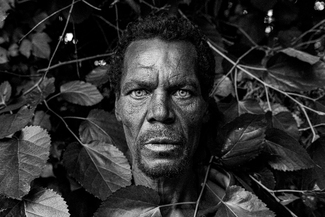 Crystal Green Eyes Crystal Green Eyes