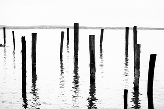 Concept 14 Concept 14