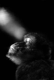 Looking for the light Looking for the light