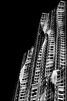 Steel Leaf Steel Leaf