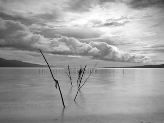 Cloudy day Cloudy day