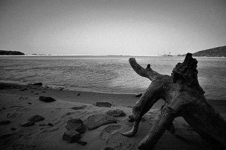 Indian pacific Indian pacific