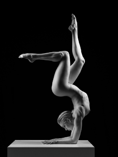 Contortion I Contortion I