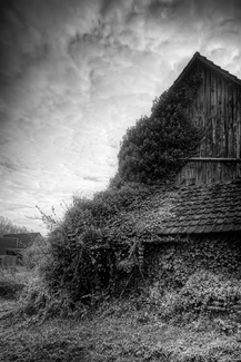 An old farm's turning point - Study 01 An old farm's turning point - Study 01