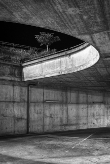 Nocturnal Scenes V Nocturnal Scenes V