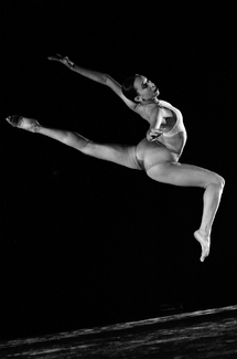 Flying High Flying High