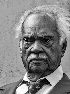 Senator of Domino Park Senator of Domino Park