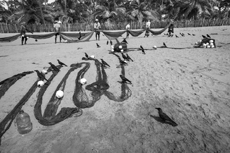 Waiting for the Day's Catch Waiting for the Day's Catch